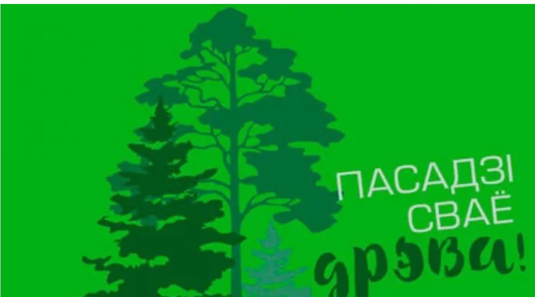 Лепельский лесхоз. Неделя леса. Баннер леса. Неделя леса в детском саду. Международный день леса баннер.